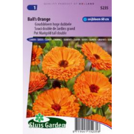 Calendula officinalis Balls Orange