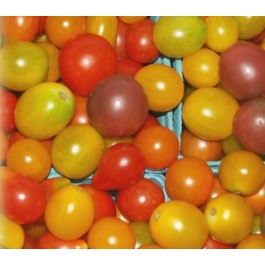 cherry-tomatenmix