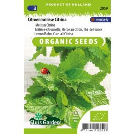 Zitroenenmelisse_Biosamen