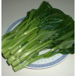 Choy_Sum_Chinesischer_Brokkoli