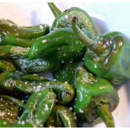 Chillis a Padron