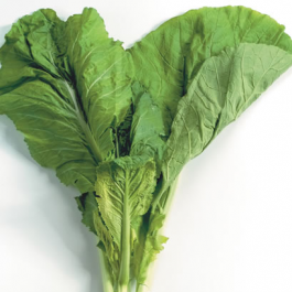 Amsoi_Senfkohl_grün