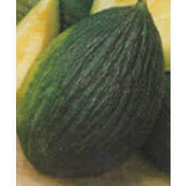Melone_Tendral_Valenciano