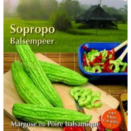 Bittergurke_sopropo_P80472