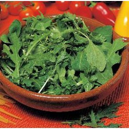 Salat Mesclun Mix