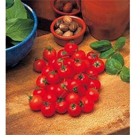 Tomaten_Balkontomate_Garden_Pearl