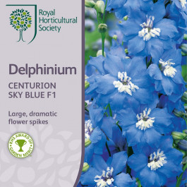 Delphinium cultorum Centurion Sky Blue F1