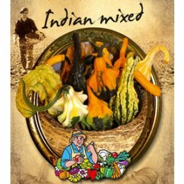 Kalebasse Indian Mixed
