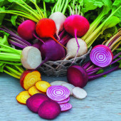 Beete Mix