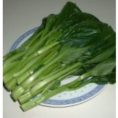 Choy_Sum_Chinesischer_Brokkoli