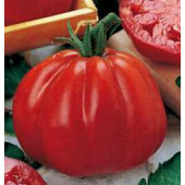 Fleischtomate_Country