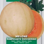 Melone_Rampicante_Zuccherino