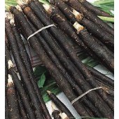 Schwarzwurzel_enorma