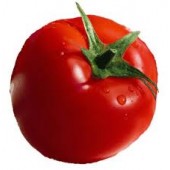 Tomaten Fleischtomate Pyros F1