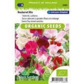 Lathyrus odoratus BIO