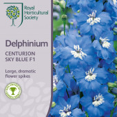 Delphinium cultorum Centurion Sky Blue F1