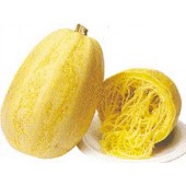 Kuerbis_SpaghettiKuerbis