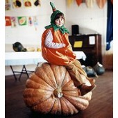 Kürbis Atlantic Giant Riesenkürbis