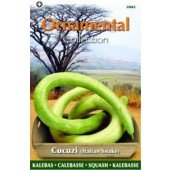 Kalebasse_Cucuzi_Italienische_Schlange