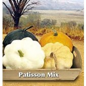 Zucchini_Patisson_Mix