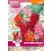 Antirrhinum_majus_Sachmo