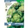 Artischocke_Green_Globe