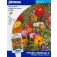 Blumenmix_Wildblumen