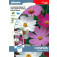 Cosmos_Sensation_mix_Schmuckkörbchen