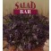 Salat_SPEEDY_Musterd_Oriental_Ruby_Streaks