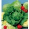Salat_Eisbergsalat_Saladin