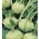 Kohlrabi_Superschmelz
