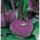 Kohlrabi_Modrava
