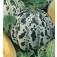 Melone_Orange_Ananas