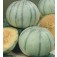 Melone_Cantaloup_Charentais