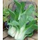Pak_Choi_Yuushou