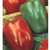 Paprika_California_Wonder_Blockpaprika