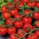 Kirschtomate Red Cherry Cerise