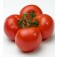 Tomaten_Matina