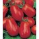 Tomaten_pomodori_Roma 