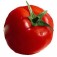 Tomaten_Pyros_Fleischtomate