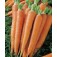 Karotten_Kamila