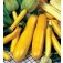 Zucchini_Gold_Rush