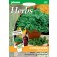 Koriander_blattkoriander_Cilantro