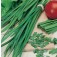 Schnittlauch_Chinesisch _Knoblauchschnittlauch
