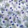 Nempohilia_five_spot