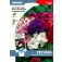 Petunia_grandiflora_mix