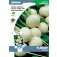Rueben_Mairuebe_Snowball