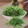 rucola_kennedy