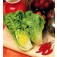 Salat_Bindesalat_Römersalat_Little_Gem_Delight