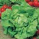 salat_tom_thumb